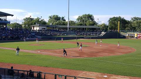 Great Lakes Loons Great Lakes Loons